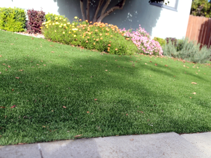 Synthetic Grass Trilby Florida Lawn Back Yard