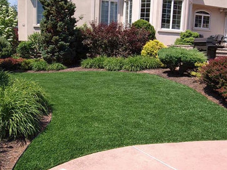 Synthetic Grass Windermere Florida Landscape Swimming Pools