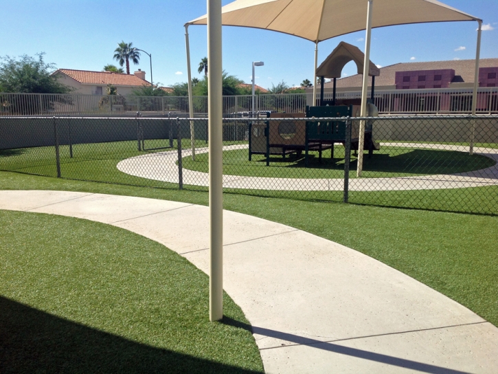 Synthetic Grass Yalaha Florida Playgrounds Back Yard