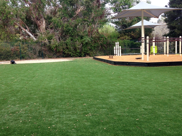 Synthetic Grass Yalaha Florida Playgrounds