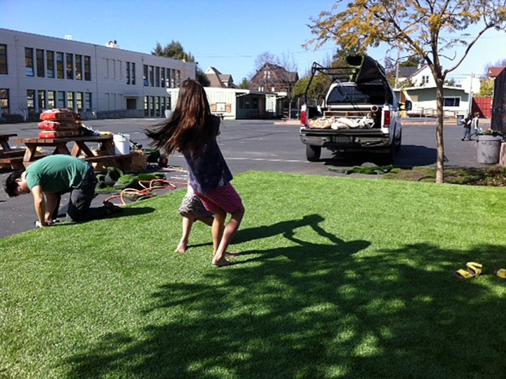 Synthetic Grass Zellwood Florida Lawn Front Yard