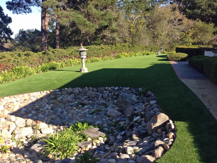 Synthetic Pet Grass Cypress Gardens Florida Installation