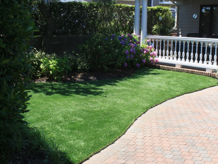 Synthetic Pet Grass Rockledge Florida for Dogs Front Yard