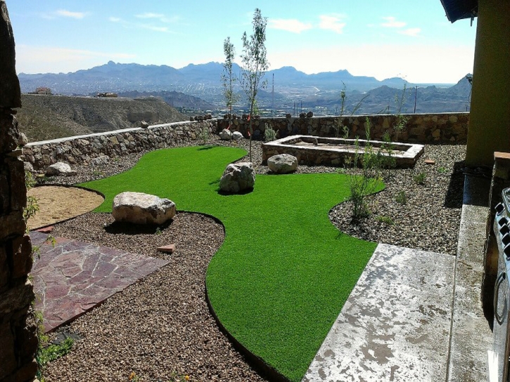 Synthetic Pet Turf Astatula Florida for Dogs Front Yard