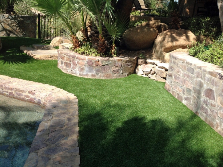 Synthetic Pet Turf Center Hill Florida Installation Back