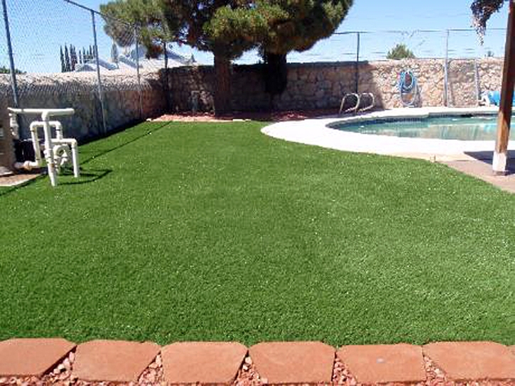 Synthetic Pet Turf Highland City Florida for Dogs Front