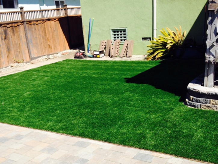 Synthetic Pet Turf Mascotte Florida for Dogs Front Yard