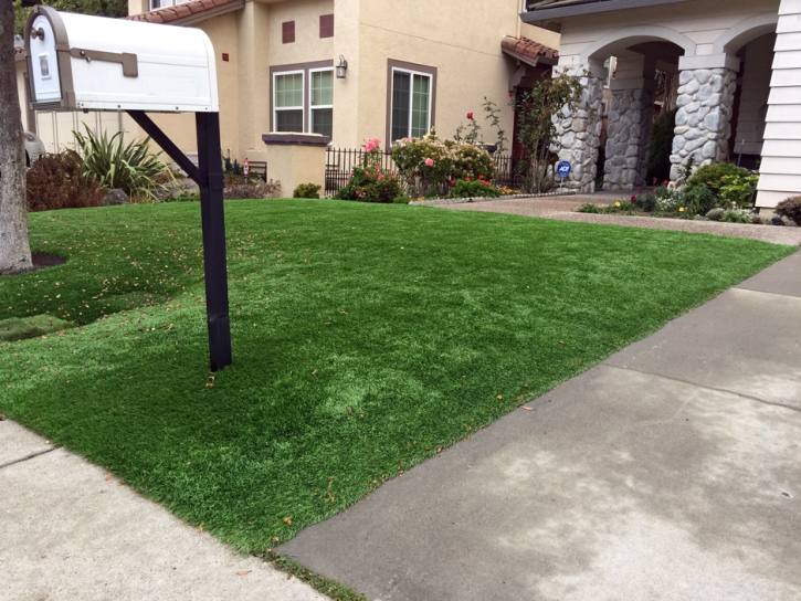 Synthetic Turf Alturas Florida Lawn Front Yard