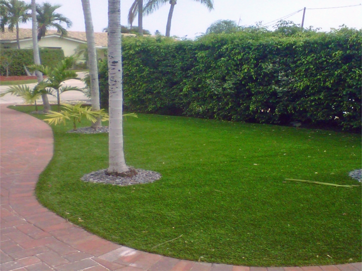 Synthetic Turf Bithlo Florida Lawn Commercial Landscape