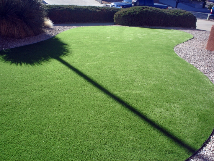 Synthetic Turf Celebration Florida Lawn Back Yard Front