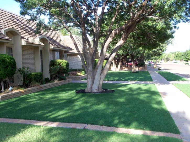 Synthetic Turf Chuluota Florida Landscape Front Yard