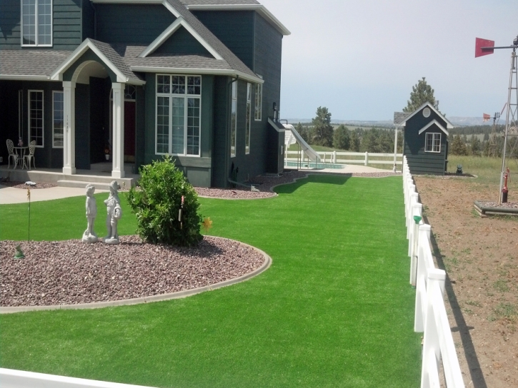 Synthetic Turf Clermont Florida Landscape