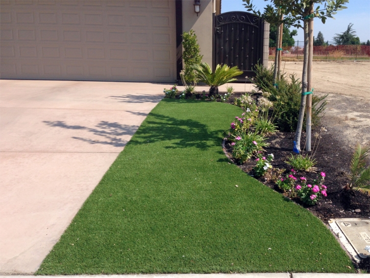 Synthetic Turf Clermont Florida Lawn Back Yard