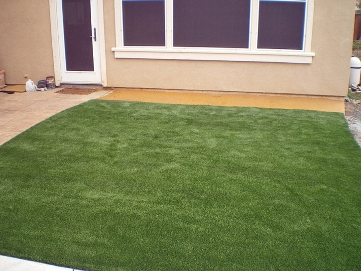 Synthetic Turf Crooked Lake Park Florida Lawn Front Yard