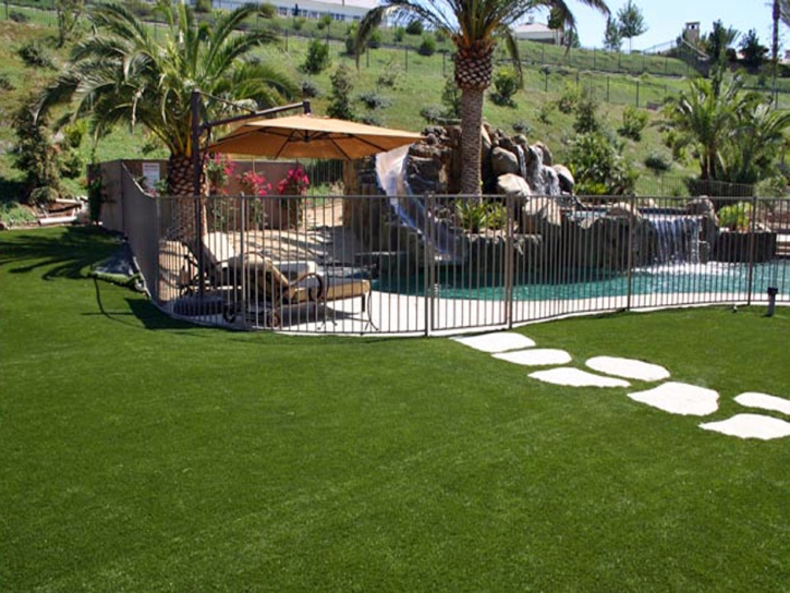 Synthetic Turf Doctor Phillips Florida Lawn Grass for Dogs