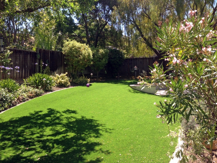 Synthetic Turf Doctor Phillips Florida Lawn