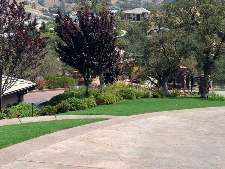 Synthetic Turf Fruitland Park Florida Landscape Front Yard