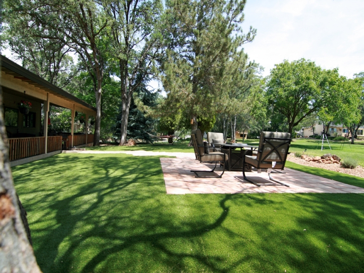 Synthetic Turf Goldenrod Florida Landscape Back Yard