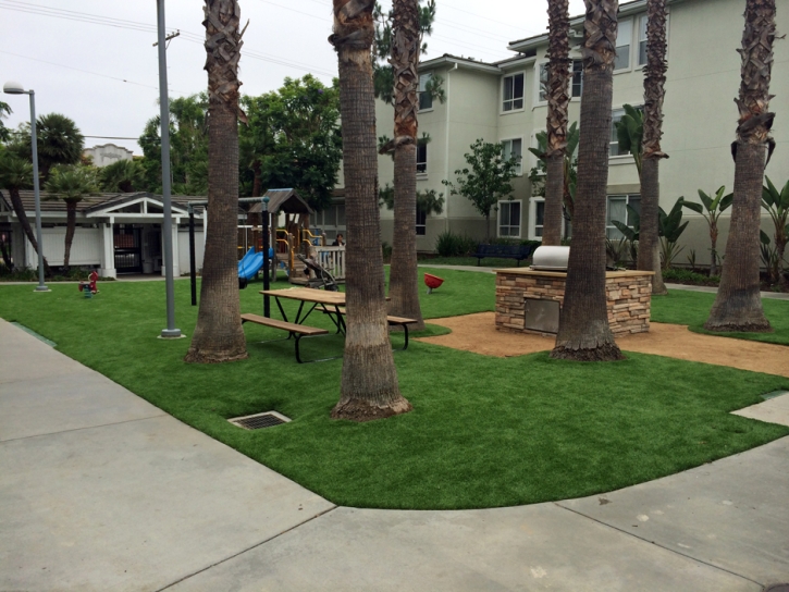 Synthetic Turf Gotha Florida Lawn Front Yard