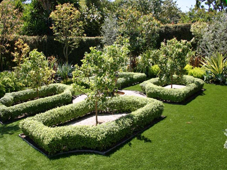 Synthetic Turf Hawthorne Florida Lawn Front Yard