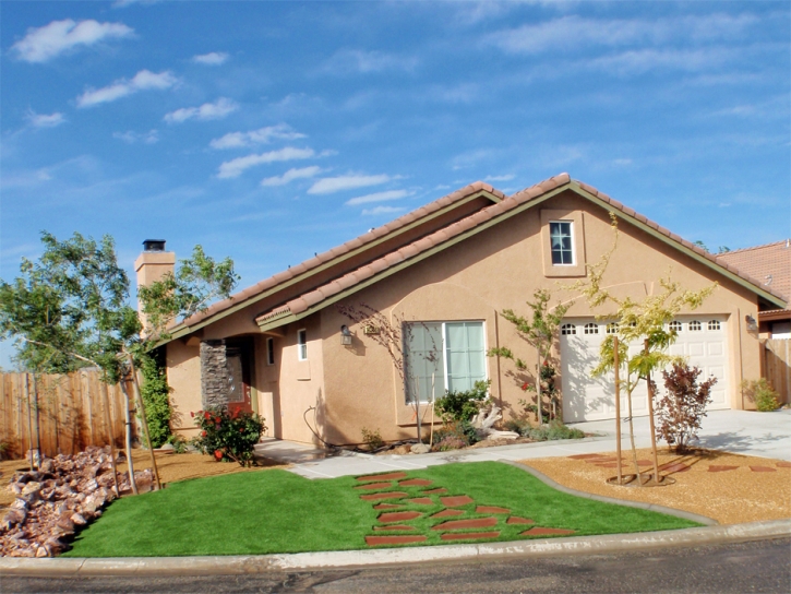 Synthetic Turf Indian Harbour Beach Florida Landscape