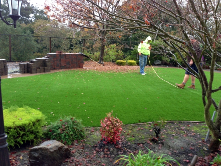 Synthetic Turf Inwood Florida Lawn Commercial Landscape