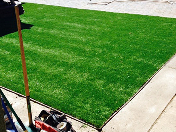 Synthetic Turf Lake Helen Florida Landscape Back Yard