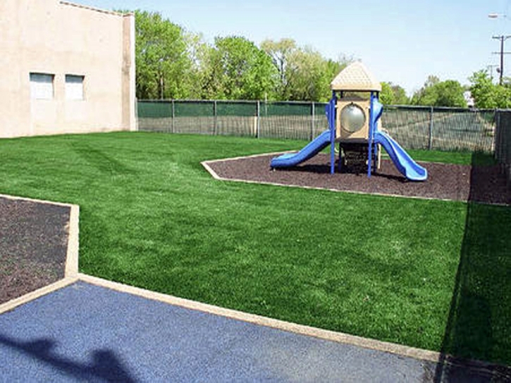 Synthetic Turf Lake Kathryn Florida Playgrounds