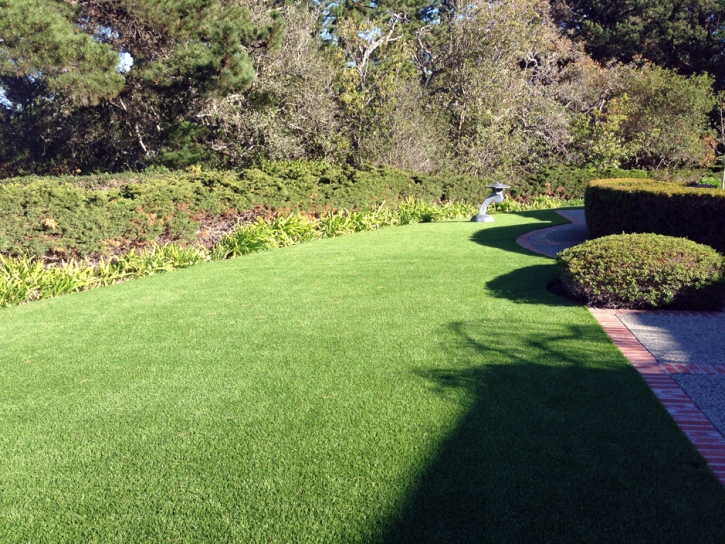 Synthetic Turf Lake Mary Florida Landscape Back Yard