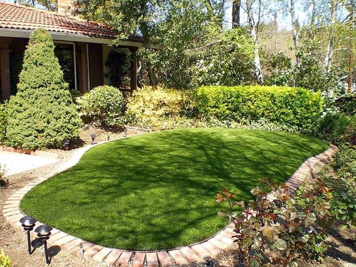 Synthetic Turf Lakeland Highlands Florida Landscape Pools