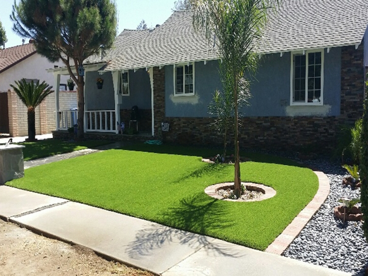 Synthetic Turf Lisbon Florida Lawn Back Yard