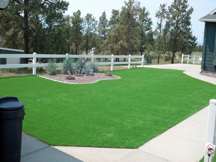 Synthetic Turf Lockhart Florida Lawn Front Yard