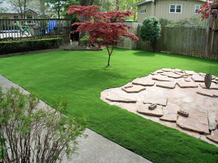 Synthetic Turf Loughman Florida Lawn