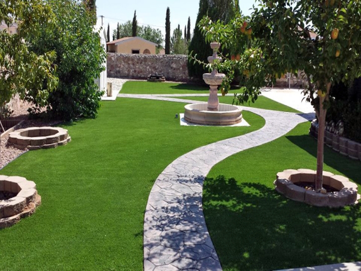 Synthetic Turf Mount Dora Florida Landscape Front Yard