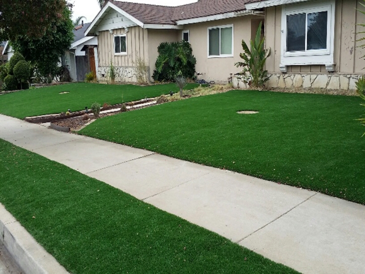 Synthetic Turf Okahumpka Florida Landscape Back Yard