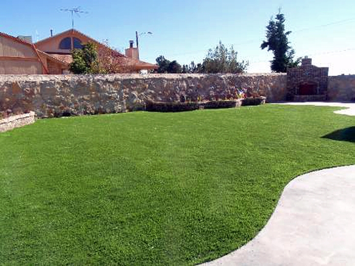 Synthetic Turf Palm Shores Florida Landscape Back Yard