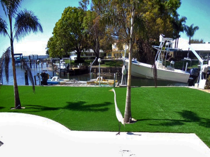 Synthetic Turf Pine Hills Florida Lawn Back Yard