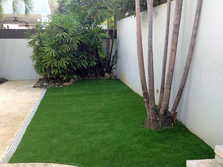 Synthetic Turf Polk City Florida Lawn Front Yard