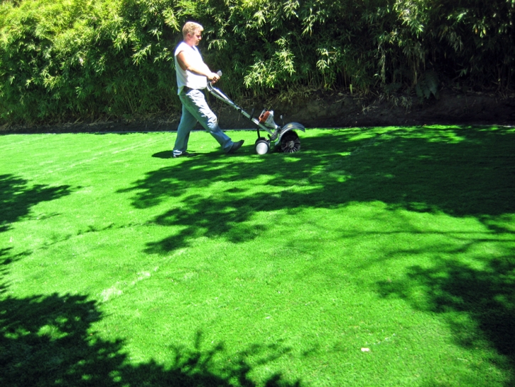 Synthetic Turf Rockledge Florida Landscape