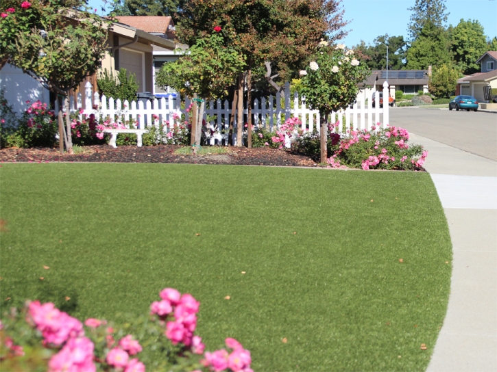 Synthetic Turf Sharpes Florida Landscape