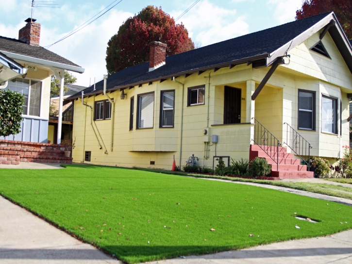 Synthetic Turf Spring Lake Florida Lawn Dog Kennels Back