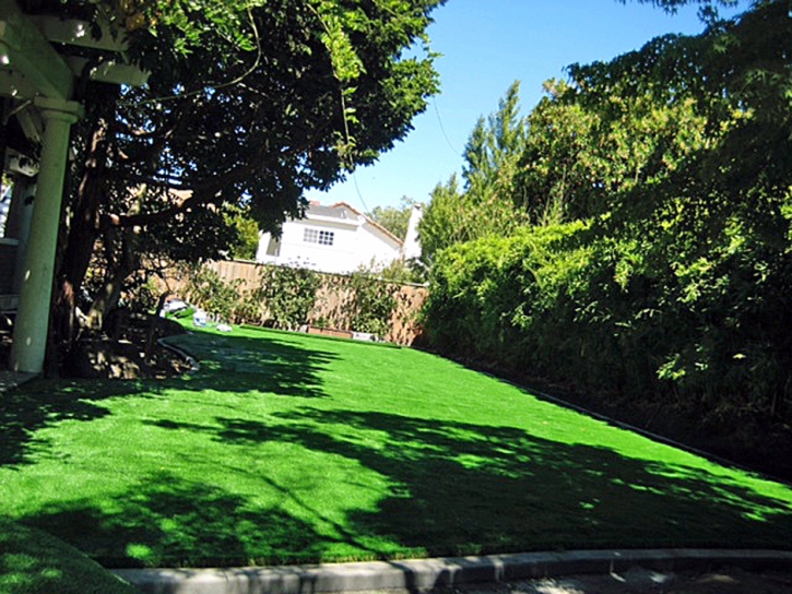 Synthetic Turf Tangelo Park Florida Landscape Back Yard