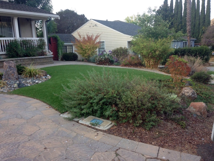 Synthetic Turf The Villages Florida Landscape Back Yard