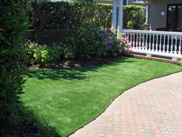 Synthetic Turf Union Park Florida Landscape Commercial