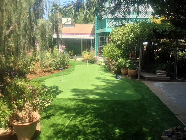 Synthetic Turf Wahneta Florida Lawn Front Yard