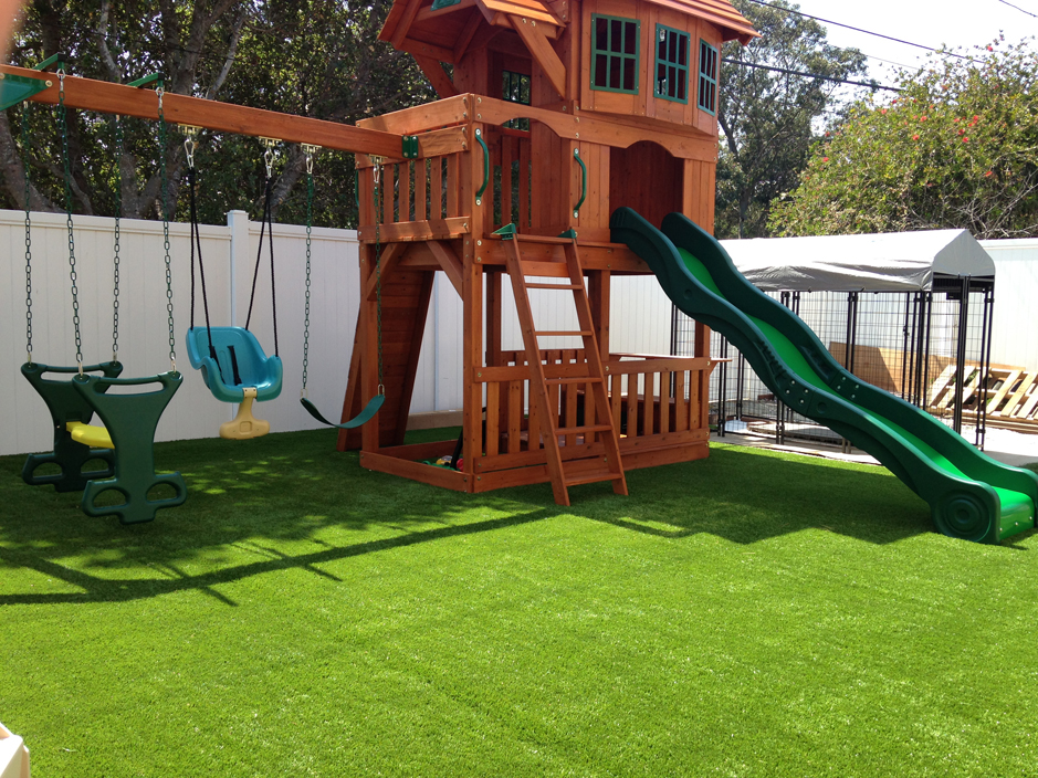 Synthetic Turf Montverde Florida Kindergarten Front Yard